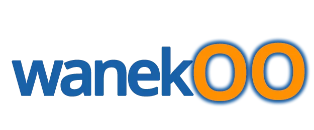 Wanekoo : Hébergement web, Site web, domaine, email